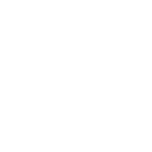 Guimarães Perícias